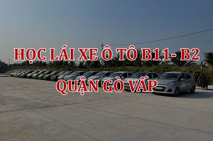 học lái xe ô tô quận gò vấp